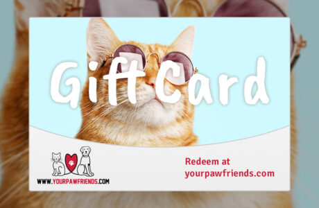 cat-lovers-guide-card