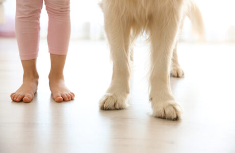 Child,Legs,And,Dog,Paws,On,The,Floor